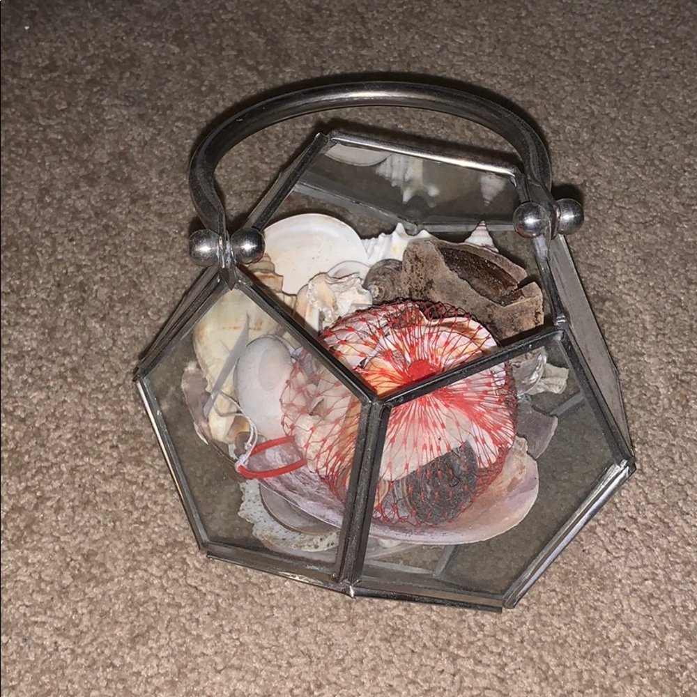 Sea shells and glass container